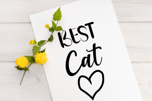 Best Cat T Shirt Design