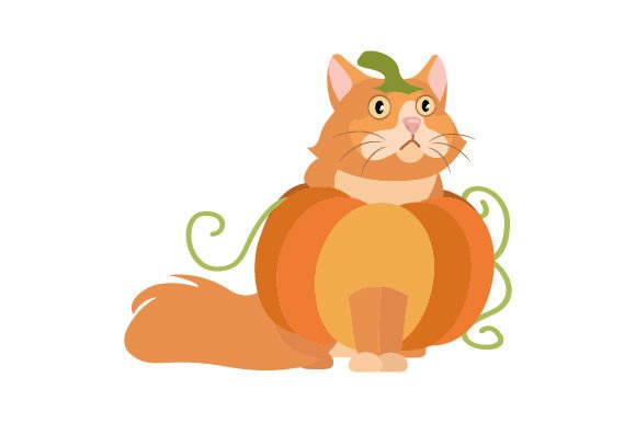 Ginger Cat Wearing Halloween Costume